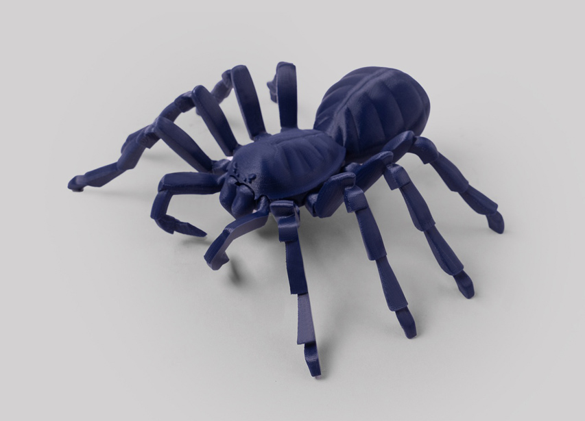 타란툴라 거미 모델 1