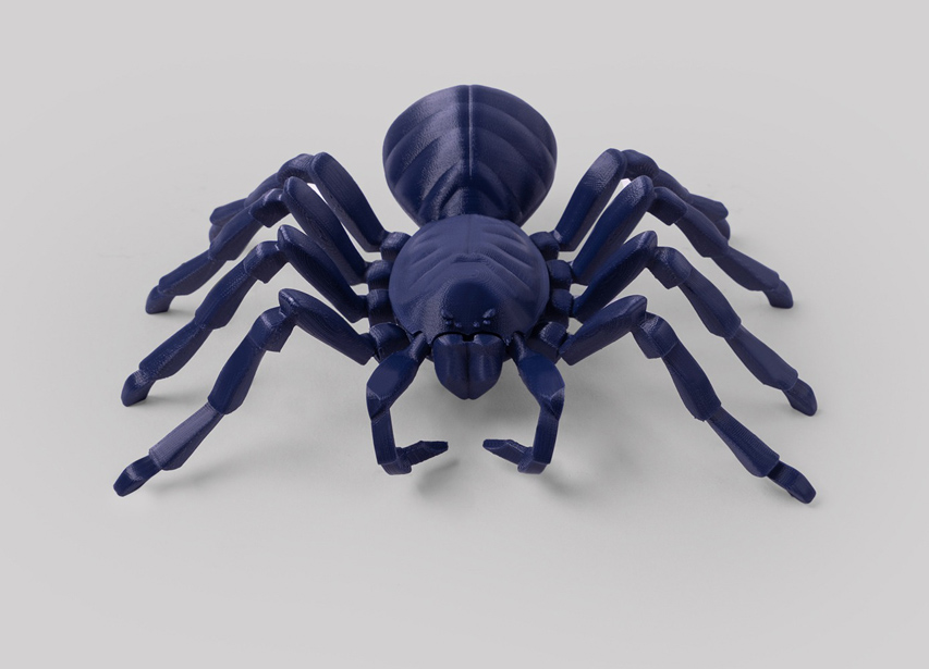 타란툴라 거미 모델 10