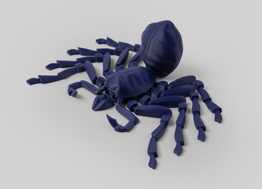 타란툴라 거미 모델 2