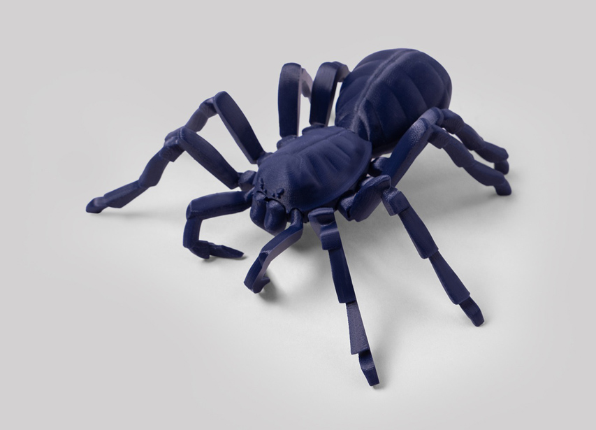 타란툴라 거미 모델 3