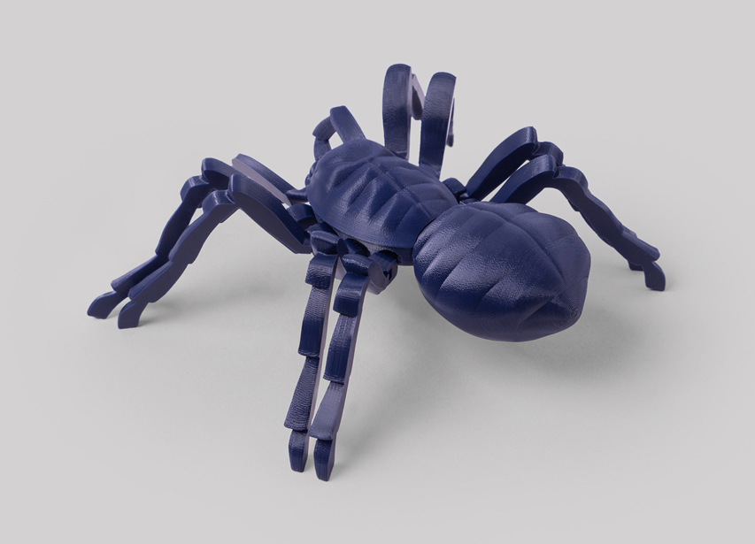 타란툴라 거미 모델 4