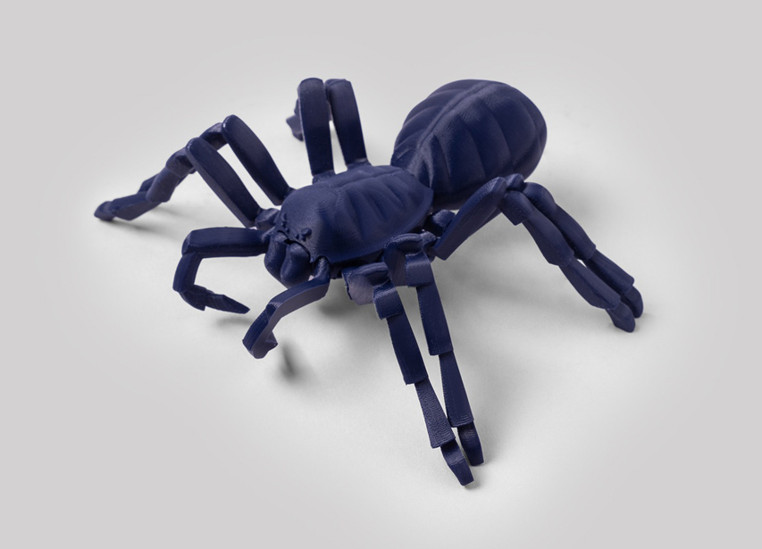 타란툴라 거미 모델 5