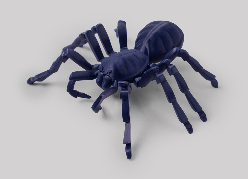 타란툴라 거미 모델 6