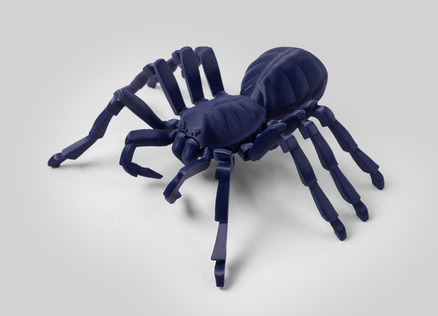 타란툴라 거미 모델 7