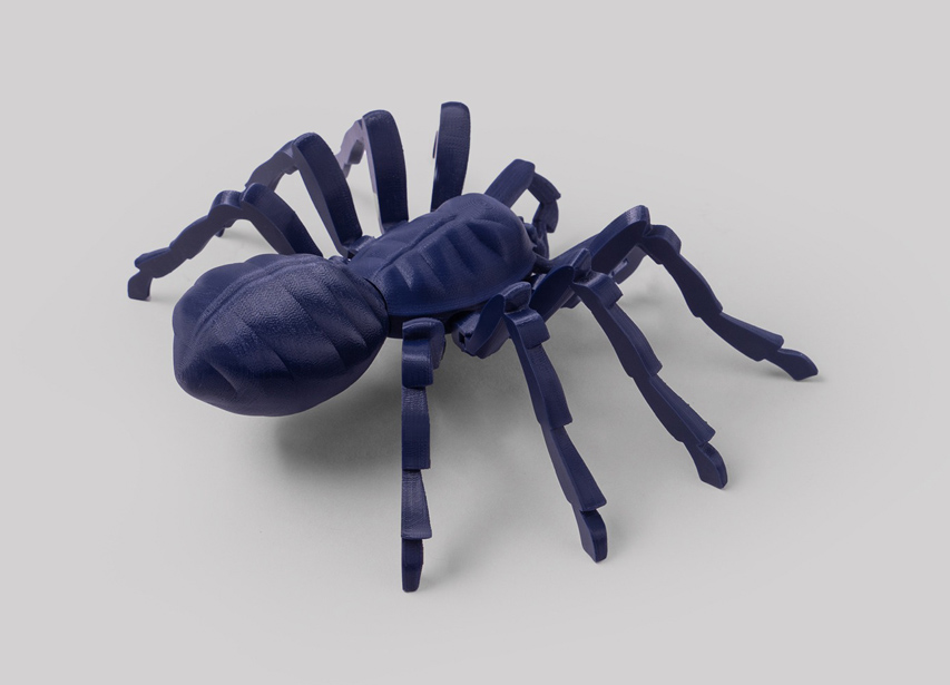 타란툴라 거미 모델 8